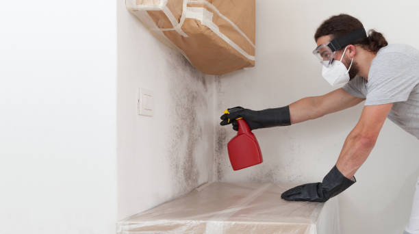 Professional Bathroom Mold Removal technician working in Brinklow, MD
